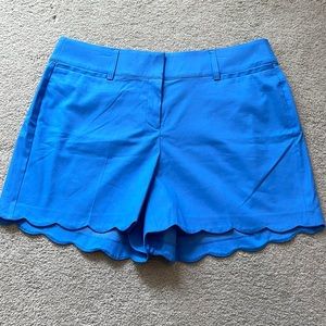 Lane Bryant The Allie Blue Scalloped Hem Shorts.    size 16